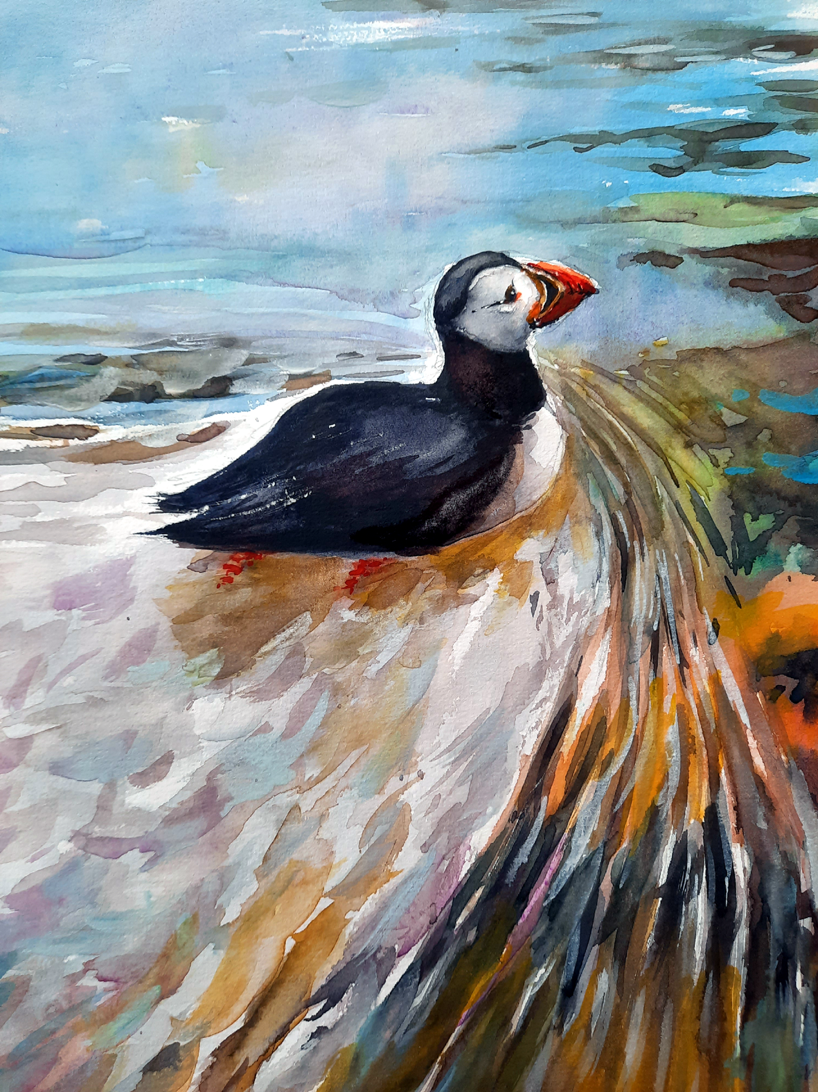 The Swimming Puffin 